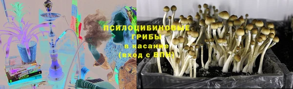 мяу мяу мука Алзамай