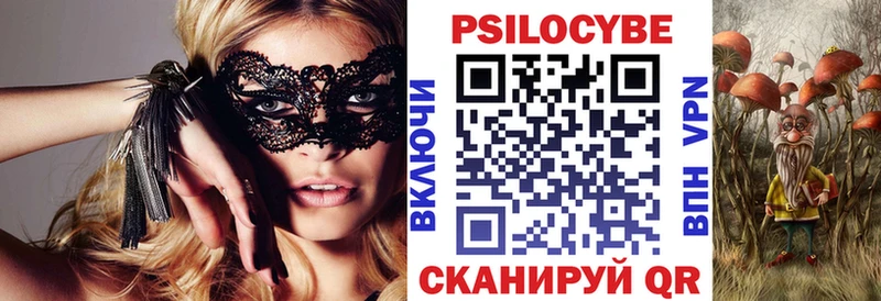 это Telegram  Северодвинск  Псилоцибиновые грибы GOLDEN TEACHER 